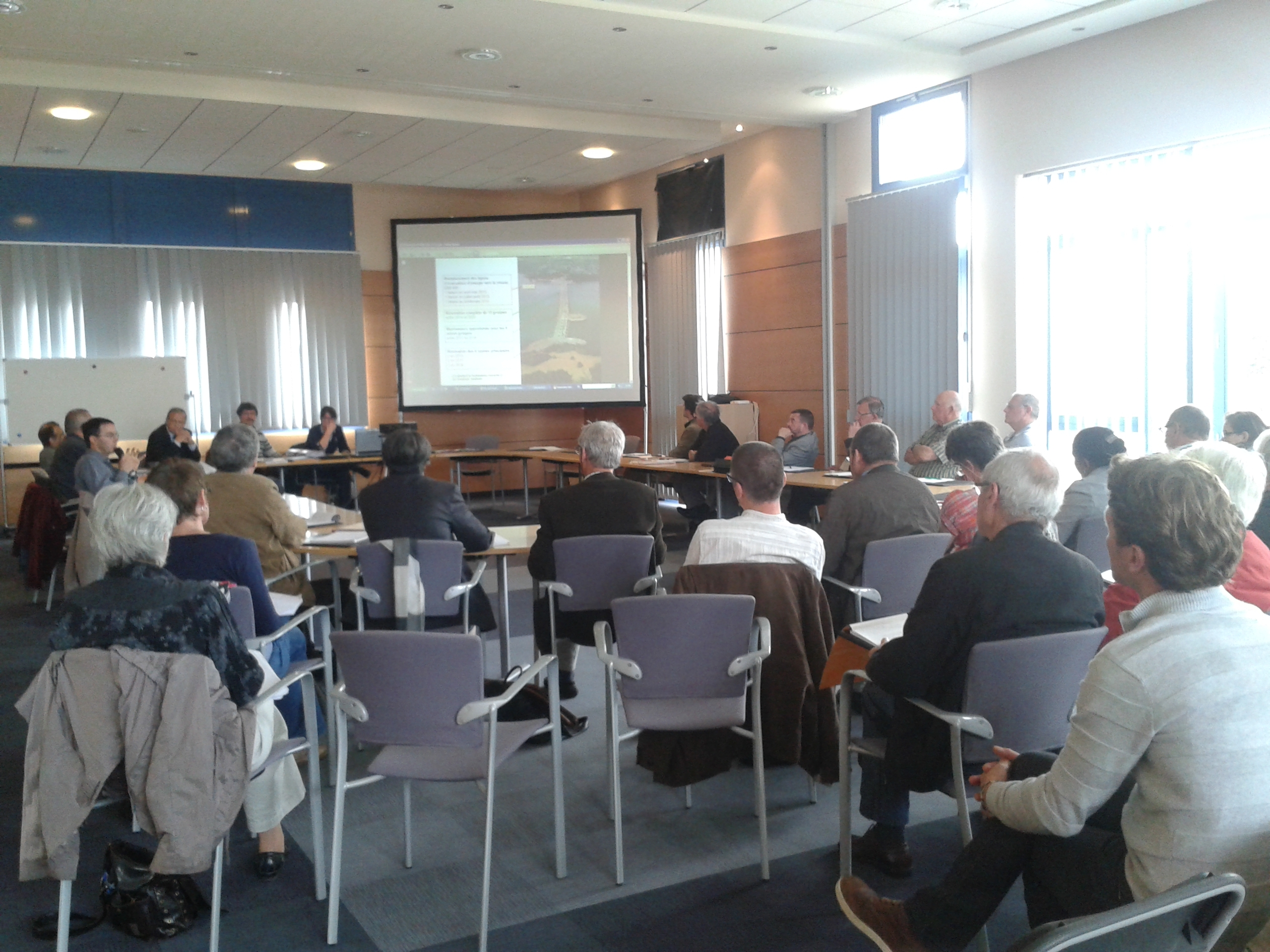 Réunion du Comité de pilotage à la Mairie de Saint-Jouan-des-Guérêts le 19 juin 2013
